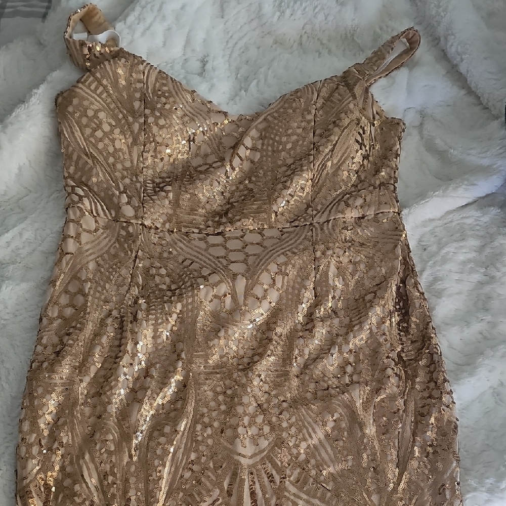 Elegant Tan Sequin Dress